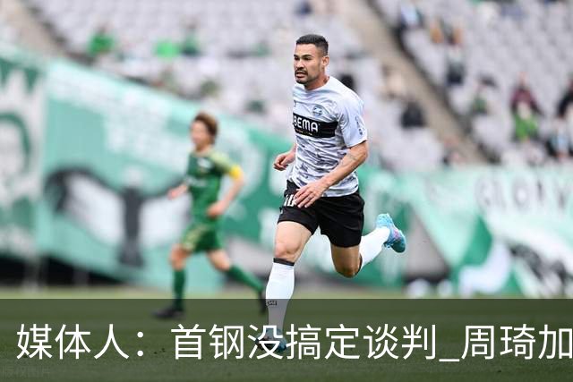 媒体人：首钢没搞定谈判 周琦加盟可能要黄